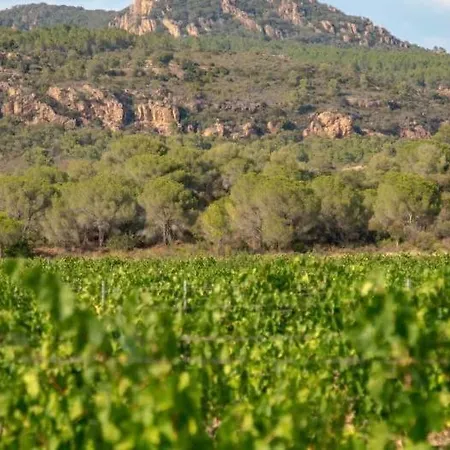 Villa - 160m2 -vue - 300m Des Plages Roquebrune-sur Argens